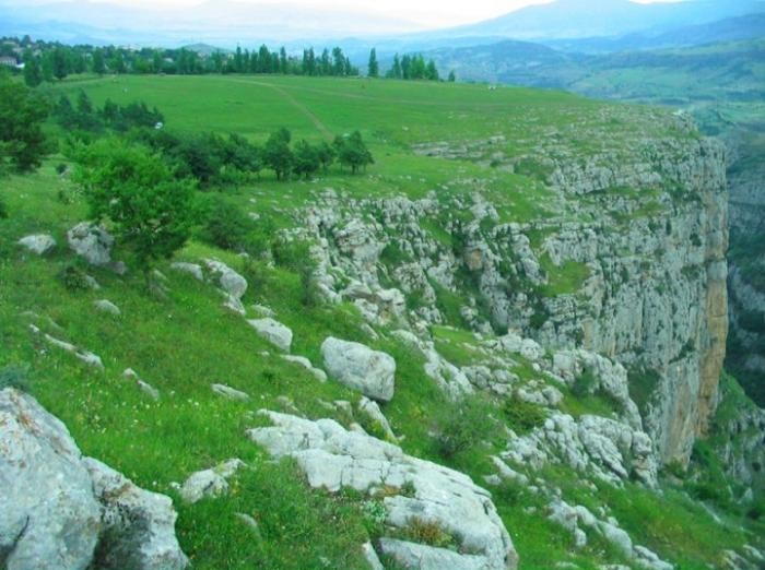 Cıdır düzü